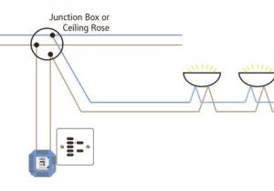 Wiring Diagram for Wall Lights the Rako Wireless Dimming Controls In Detail Ceiling In Line and