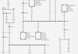 Wiring Diagram ford Electric Fan Relay Wiring Diagram Fresh How to Change Fuel Filter In