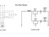 Wiring Diagram Motor Starter Wiring Dc Diagram Motor M 175310 Wiring Diagram
