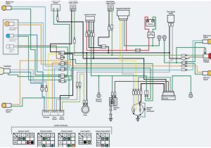 Wiring Diagram Of Alternator 8 toyota Car Alternator Wiring Diagram Concept Racing4mnd org Wiring Diagram Of Alternator 8 toyota Car Alternator Wiring Diagram Concept Racing4mnd org