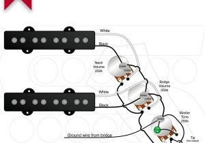 Wiring Diagram P Bass Fender B Wiring Diagram Wiring Diagram