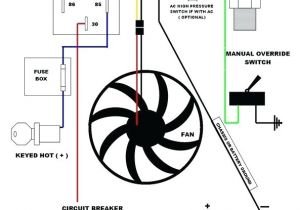 Wiring Diagram P Bass Fender Squier Bass Wiring Diagram and Schematic Vintage Noiseless Wiring Diagram P Bass Fender Squier Bass Wiring Diagram and Schematic Vintage Noiseless