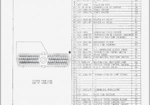 Wiring Diagram Relay Electric Fan Relay Wiring Diagram Fresh How to Change Fuel Filter In