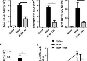 Wiring Diagram Starter solenoid Self Starter Motor Diagram Fresh Volvo C70 Mk2 2 0d Starter Motor 10