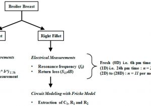 Wiring Diagram Switch Phospholipid Diagram Labeled Fresh Switch Wiring Diagram Network Wiring Diagram Switch Phospholipid Diagram Labeled Fresh Switch Wiring Diagram Network