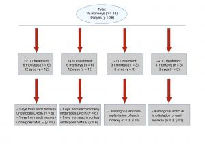 Wiring Diagram System Explain Block Diagram Of Embedded System Block Wiring Diagram Wiring Diagram System Explain Block Diagram Of Embedded System Block Wiring Diagram