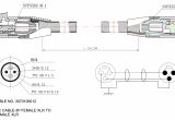 Wiring Diagram Trailer Plug Circle W Trailer Wiring Diagram Wiring Diagram Option