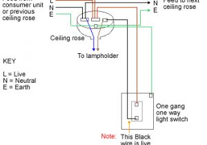 Wiring Up Spotlights Diagram Wiring Diagram for Downlights Wiring Diagram Basic Wiring Up Spotlights Diagram Wiring Diagram for Downlights Wiring Diagram Basic