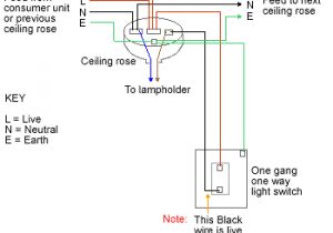 Wiring Up Spotlights Diagram Wiring Diagram for Downlights Wiring Diagram Basic