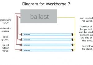 Workhorse 7 Ballast Wiring Diagram Workhorse Wiring Diagram Bcberhampur org Workhorse 7 Ballast Wiring Diagram Workhorse Wiring Diagram Bcberhampur org