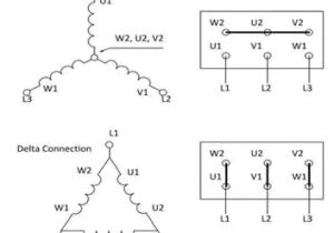 Wye Delta Motor Wiring Diagram How to Connect 3 Phase Motors In Star and Delta Connection Quora