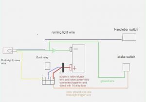 X22 Pocket Bike Wiring Diagram X22 Pocket Bike Wiring Diagram Electrical Wiring Diagram Building