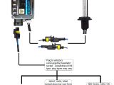 Xentec Wiring Diagram Xenon Hid Kit Wiring Diagram Wiring Diagram Query Xentec Wiring Diagram Xenon Hid Kit Wiring Diagram Wiring Diagram Query