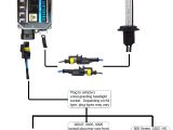 Xentec Wiring Diagram Xenon Hid Kit Wiring Diagram Wiring Diagram Query
