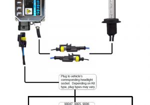 Xentec Wiring Diagram Xenon Hid Kit Wiring Diagram Wiring Diagram Query Xentec Wiring Diagram Xenon Hid Kit Wiring Diagram Wiring Diagram Query
