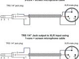 Xlr Connector Wiring Diagram Phono Plug Wiring Diagram Wiring Diagram