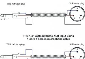 Xlr Connector Wiring Diagram Phono Plug Wiring Diagram Wiring Diagram
