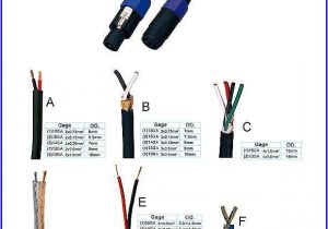 Xlr Connector Wiring Diagram Xlr Connector Wiring Diagram Fresh Wiring Diagram for Xlr to Trs Xlr Connector Wiring Diagram Xlr Connector Wiring Diagram Fresh Wiring Diagram for Xlr to Trs