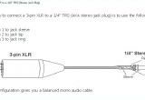 Xlr Female Wiring Diagram Male Xlr Wiring Diagram Wiring Diagram Datasource