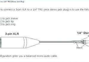 Xlr Female Wiring Diagram Male Xlr Wiring Diagram Wiring Diagram Datasource Xlr Female Wiring Diagram Male Xlr Wiring Diagram Wiring Diagram Datasource