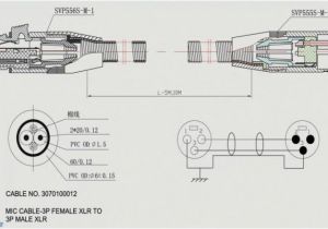 Xlr Female Wiring Diagram Wiring Diagram for Featherlite Gooseneck Wiring Diagram Inside