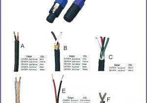 Xlr Female Wiring Diagram Xlr to 1 4 Wiring Diagram Shelectrik Com
