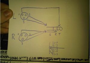 Xlr Male to Xlr Female Wiring Diagram 20 Xlr Cable Wiring Diagram Pictures and Ideas On Weric