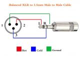 Xlr Male to Xlr Female Wiring Diagram Amazon Com Tisino Mini Jack 3 5mm 1 8 Inch Trs Male to Xlr Male