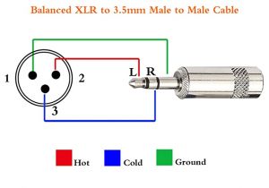 Xlr Male to Xlr Female Wiring Diagram Amazon Com Tisino Mini Jack 3 5mm 1 8 Inch Trs Male to Xlr Male Xlr Male to Xlr Female Wiring Diagram Amazon Com Tisino Mini Jack 3 5mm 1 8 Inch Trs Male to Xlr Male
