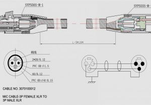 Xlr Male to Xlr Female Wiring Diagram Cat5e Wire Diagram Wiring Diagrams