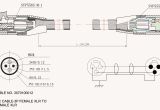 Xlr Male to Xlr Female Wiring Diagram Wiring Diagram Guitar Jack Save Xlr to Mono Jack Wiring Diagram In