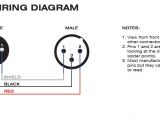Xlr Male to Xlr Female Wiring Diagram Wiring Xlr Connectors Diagram Awesome Xlr Connector Wiring Diagram