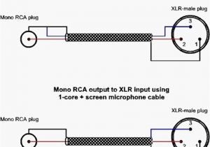 Xlr to Phono Wiring Diagram Rca Wire Diagram Wiring Diagram Technic Xlr to Phono Wiring Diagram Rca Wire Diagram Wiring Diagram Technic