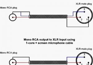 Xlr to Phono Wiring Diagram Rca Wire Diagram Wiring Diagram Technic