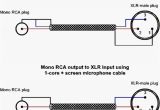 Xlr to Rca Wiring Diagram 5mm Mono Plug Wiring Diagram Manual E Book