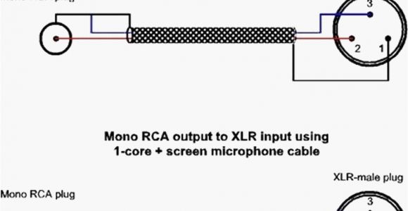 Xlr to Rca Wiring Diagram 5mm Mono Plug Wiring Diagram Manual E Book