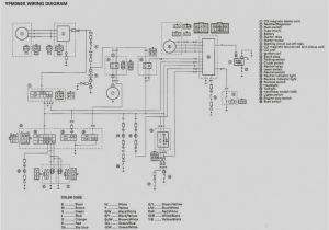 Yamaha 350 Warrior Wiring Diagram 1988 Yamaha Starter Schematic Wiring Diagram Inside