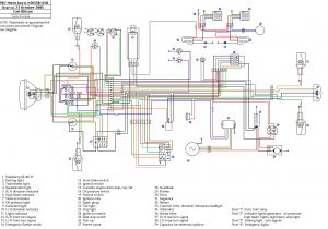Yamaha 350 Warrior Wiring Diagram 2001 Yamaha 150 Hpdi Wiring Diagram Wiring Diagram Sys
