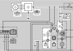 Yamaha 350 Warrior Wiring Diagram Weekend Warrior Generator Wiring Diagram Wiring Diagram Perfomance