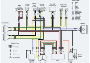 Yamaha 350 Warrior Wiring Diagram Yamaha Warrior atv Wiring Diagram Wiring Diagram Autovehicle