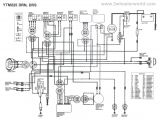 Yamaha at1 Wiring Diagram Yamaha Compass Wiring Wiring Diagram Info