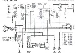 Yamaha at1 Wiring Diagram Yamaha Compass Wiring Wiring Diagram Info