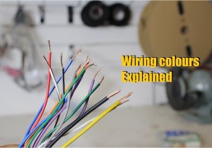 Yamaha at1 Wiring Diagram Yamaha Ybr 125 Wiring Diagram Wiring Diagram Technic