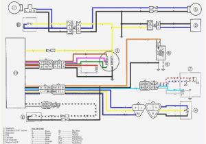 Yamaha Blaster Headlight Wiring Diagram 2005 R6 Wiring Diagram Wiring Diagram Centre