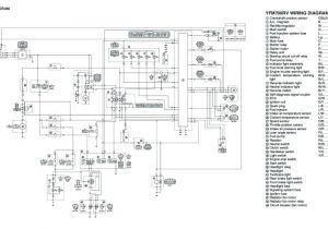Yamaha Fz1 Wiring Diagram Yamaha 300 Wiring Diagram Wiring Diagram Centre