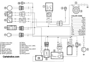Yamaha G19e Wiring Diagram Gas Wiring Diagram Wiring Diagram