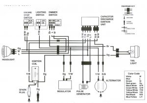 Yamaha Kodiak 400 Wiring Diagram Wiring Diagram for Rhino Wiring Diagram