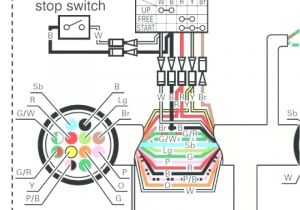 Yamaha Outboard Ignition Switch Wiring Diagram Yamaha Outboard Wiring Harness Extension Free Download Wiring Yamaha Outboard Ignition Switch Wiring Diagram Yamaha Outboard Wiring Harness Extension Free Download Wiring