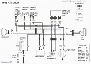 Yamaha R6 Ignition Wiring Diagram Yamaha Fuse Box Diagram Wiring Diagram Page