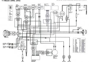 Yamaha Sr250 Wiring Diagram Yamaha Srv Wiring Diagram Wiring Diagram Blog Yamaha Sr250 Wiring Diagram Yamaha Srv Wiring Diagram Wiring Diagram Blog